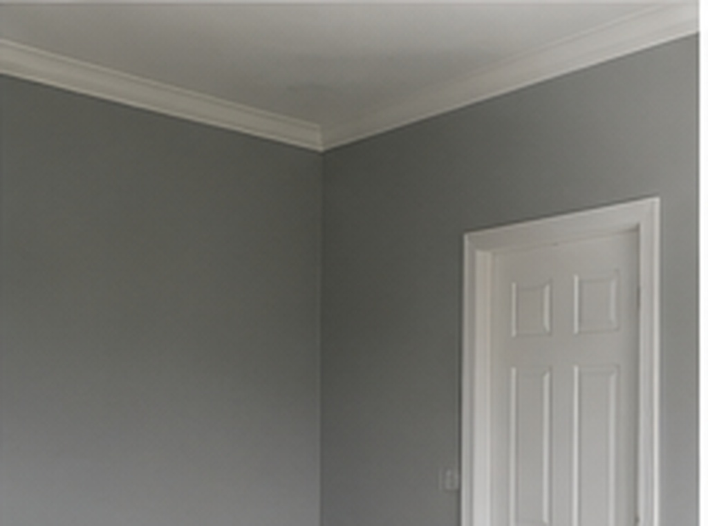 Room after — clean gray repaint